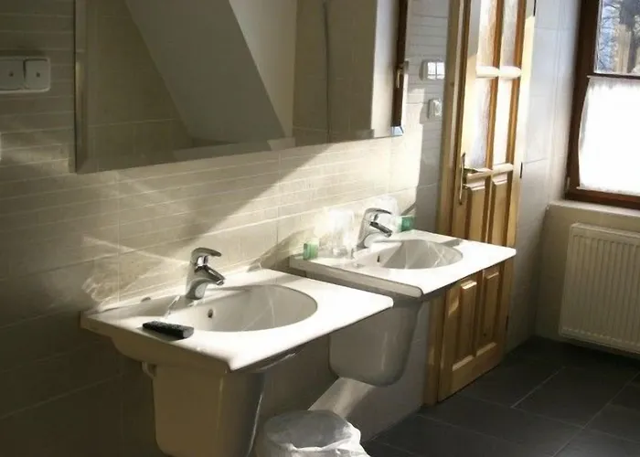 Karpatsky Dvor 3* 로조르노