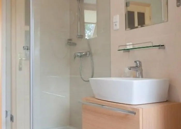 Karpatsky Dvor 3* 로조르노